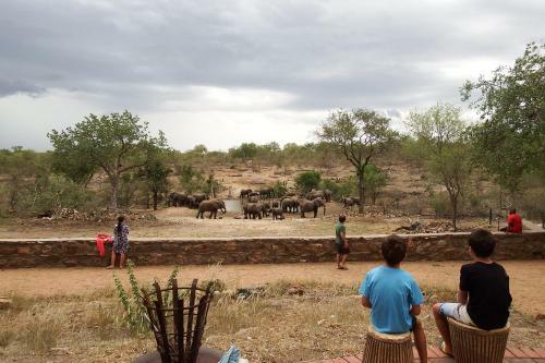 Lodge Ndzuti Safari Camp