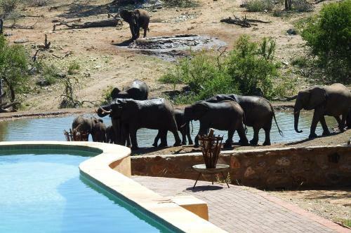 Lodge Ndzuti Safari Camp