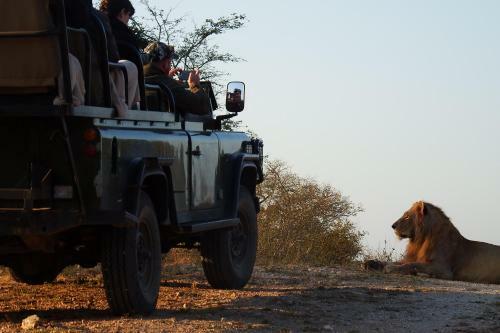Lodge Ndzuti Safari Camp