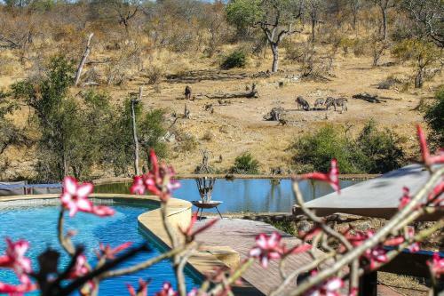 Lodge Ndzuti Safari Camp