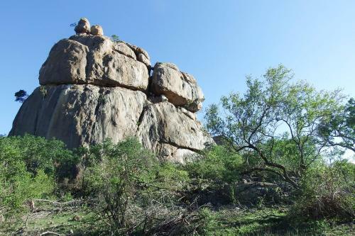 Lodge Ndzuti Safari Camp
