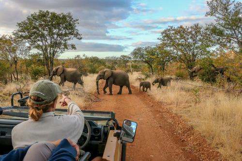 Lodge Ndzuti Safari Camp