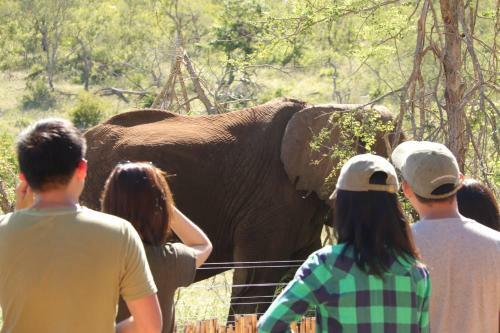 Lodge Ndzuti Safari Camp