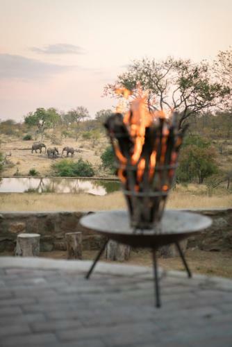 Lodge Ndzuti Safari Camp