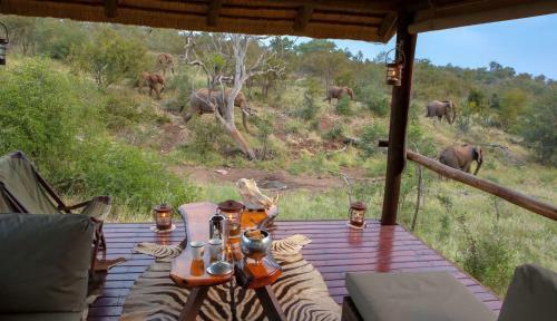Ximongwe Safari Camp