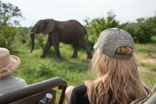 Sausage Tree Safari Camp