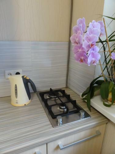 Hostal Kislovodsk Guests House