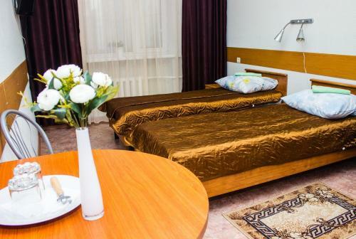 Hotel Televishka