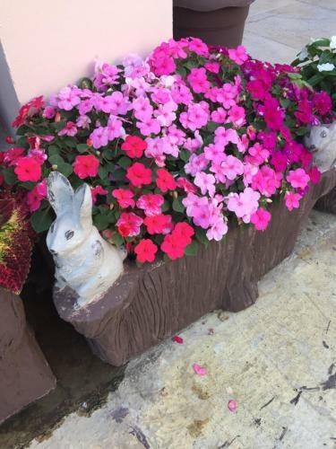 Hostal Guest House Tatiana