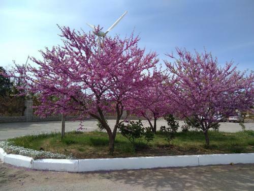 Hostal Tikhaya Gavan Guest House