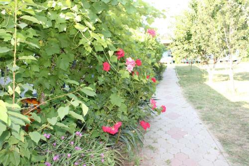 Hostal Tikhaya Gavan Guest House
