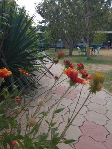 Hostal Tikhaya Gavan Guest House