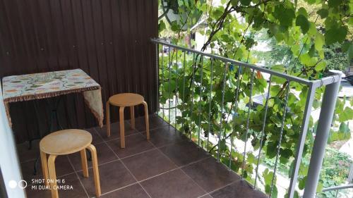 Hostal 26 Gavan'