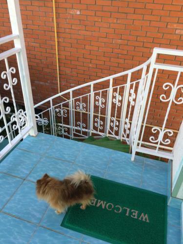 Hostal Nadezhda Guest House