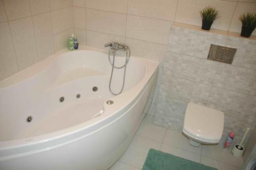 Apartment Sportivnaya 17
