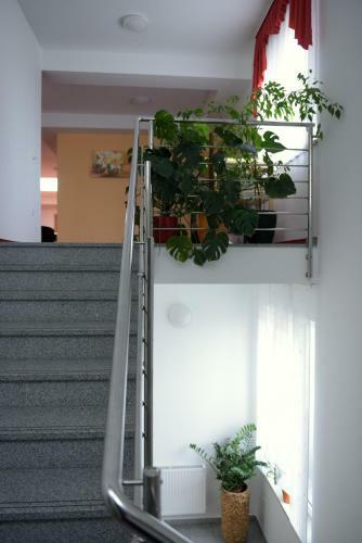 Hostal Penzion Letali??e