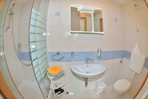 Hostal Apartments And Tents Silva