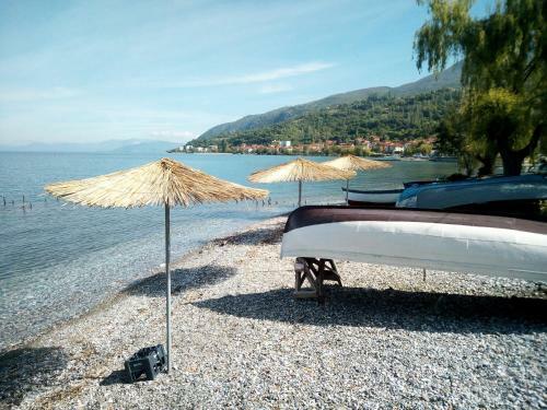 Hostal Lile Pestani Accommodation