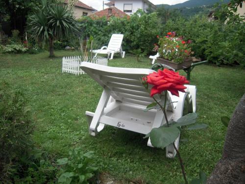 Hostal Lile Pestani Accommodation