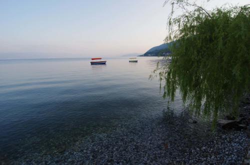 Hostal Lile Pestani Accommodation