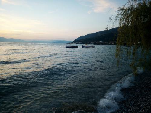 Hostal Lile Pestani Accommodation
