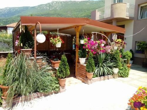Hostal Lile Pestani Accommodation