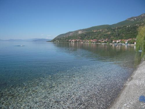 Hostal Lile Pestani Accommodation
