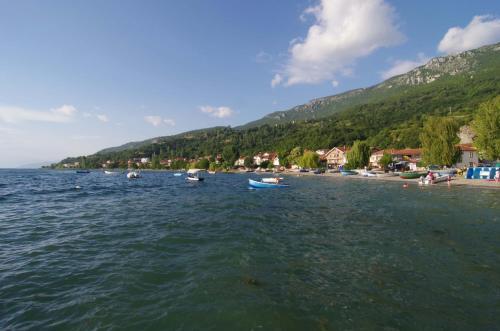 Hostal Lile Pestani Accommodation