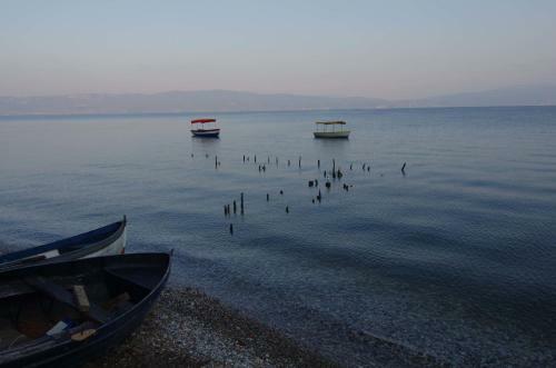 Hostal Lile Pestani Accommodation