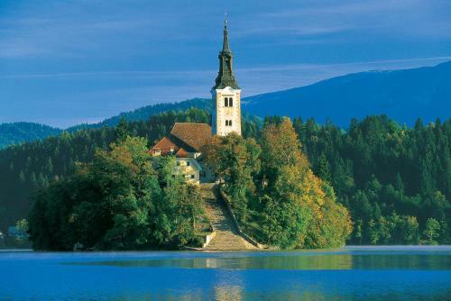 Apartment In Chalet Bohinj