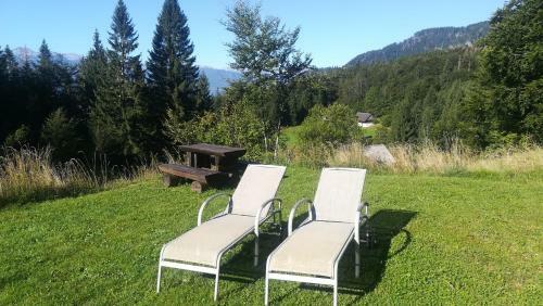Apartment In Chalet Bohinj