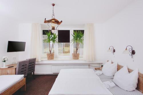 Hostal Gosti??e Krivograd