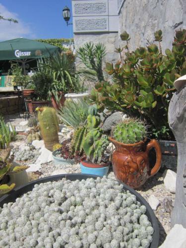 Hotel Guest House Veronika