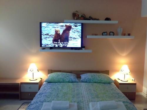 Apartment Zadraga