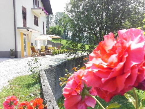 Apartment Zadraga