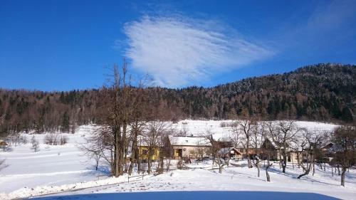 Hostal Apartment Vrtacnik
