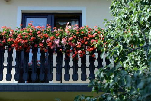 Hostal Guest House Koprivnik