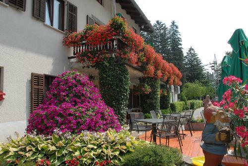 Hostal Guesthouse Pri ?tefanu