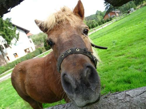 Agroturismo Farm Stay Frank Ozmec