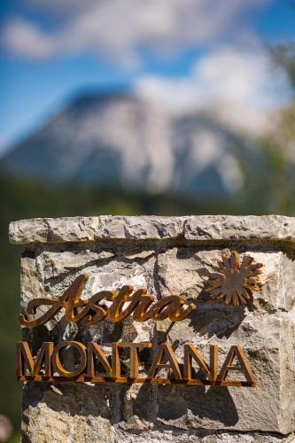 Eco Chalet Astramontana