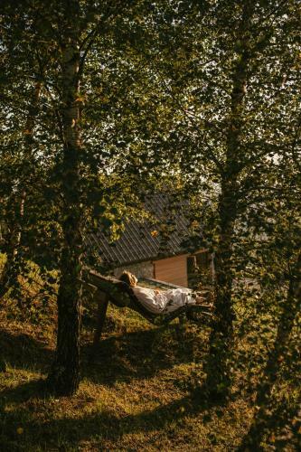 Eco Chalet Astramontana
