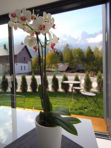Apartments Edelweiss Boutique
