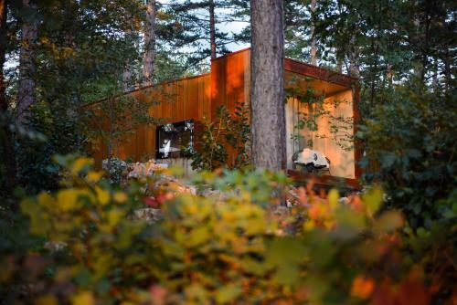 Bed & Breakfast Theodosius Forest Village