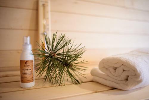 Bed & Breakfast Theodosius Forest Village