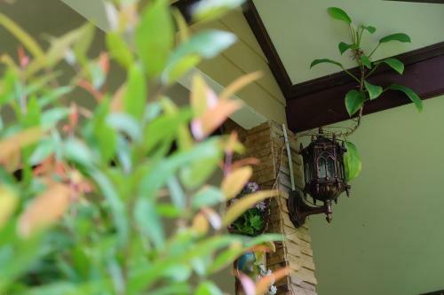 Hotel Leamsing View Resort
