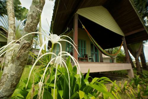 Hotel Holiday Beach Resort