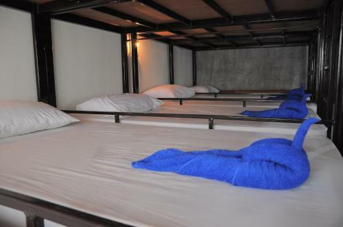 Mickey Hostel