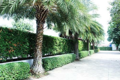 Hotel Sky View Resort Buriram