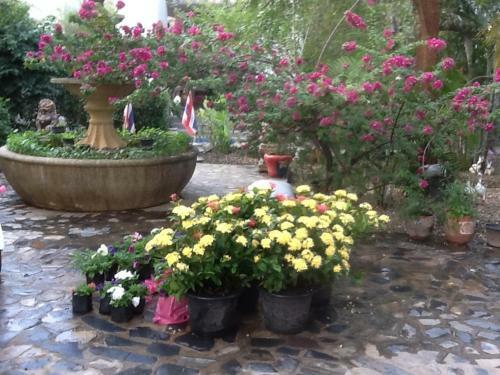Hotel Thai Castle Resort