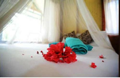 Hotel Smile Bungalow Bottle Beach